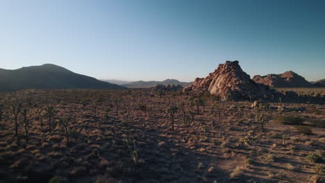 Scenic-aerial-drone-footage-in-Joshua-Tree-National-Park-at-sunset