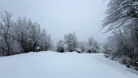 forest-hill-in-winter-heavy-snow-in-nature-scenic-landscape-white-cold-background-scenic-shot-wonderful-snow-flakes-in-the-scene-tree-cover-by-snow-mountain-highland-rural-town-outside-urban-city