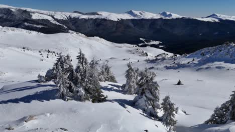 Winterlandschaft-Des-Bucegi-Gebirges-Mit-Schneebedeckten-Bäumen-Und-Gipfeln,-Klarer-Blauer-Himmel