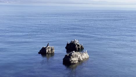 Seagulls-and-a-crane-resting-on-boulders-on-Sea-shore-with-island-in-distance-close-up,-Opatija,-Croatia