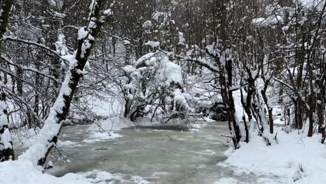 Geheimnisvoller-Gefrorener-See-Im-Wald-Winterlandschaft-Mit-Eisteich-Bei-Starkem-Schneefall-Hyrkanische-Wälder-Iran-Naturlandschaft-Aserbaidschan-Wunderbare-Natur-Ländliches-Dorf-Landschaft-Schneebedeckter-Baum-Im-Berg