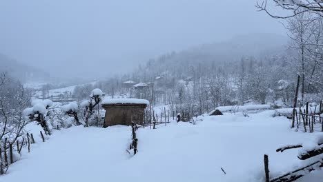 Fuertes-Nevadas-En-El-Paisaje-Forestal-Del-Pueblo-En-Invierno-Techo-Cubierto-De-Nieve-Durante-El-Día-Caída-De-Nieve-Vida-Rural-Pueblo-De-Montaña-Campo-Agricultor-Población-Local-Que-Vive-En-El-Campo-De-Arrozal-De-Las-Tierras-Altas-En-Irán