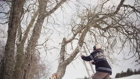 Portrait-Of-A-Man-With-Headphones-Climbing-Ladder-To-Clear-Branches-Of-Dried-Trees-During-Winter