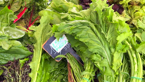 Hierbas-Verdes-Orgánicas-Frescas-A-La-Venta-En-Un-Mercado-De-Agricultores-Local-En-Marbella,-España,-Bioverduras-Saludables,-Toma-De-4k