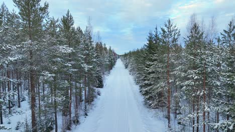 Vídeo-De-Drones-Sobre-Una-Carretera-Que-Atraviesa-El-Bosque-ártico-En-Invierno