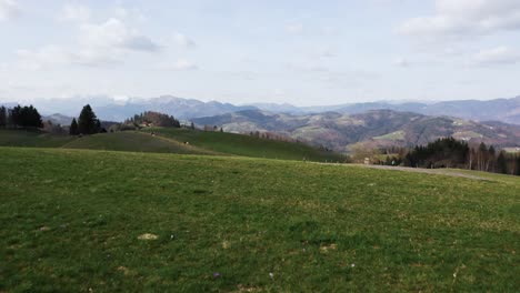 Flying-over-rolling-green-hills-under-a-dramatic-sky-revealing-hikers,-pockets-of-purple-crocuses,-saffron-field-adding-a-touch-of-wild-splendor-in-spring