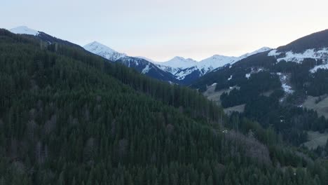 Pine-forest-covering-mountains-with-snow-patches-in-Saalbach-Hinterglemm-at-dusk,-aerial-view