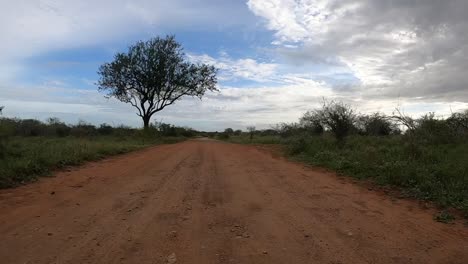 A-time-warp-of-vehicle-driving-through-the-bushveld-of-the-Kruger-National-Park-on-a-dirt-track,-a-lush-savannah-landscape-passes-by