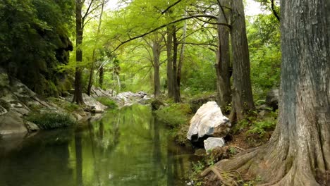 Magische-Landschaft-Eines-Ruhigen-Ökosystems-Eines-Flusses,-Der-Einen-Wald-Durchquert-Und-Durch-Bäume-Und-Felsbrocken-Fließt,-Drohnenaufnahmen