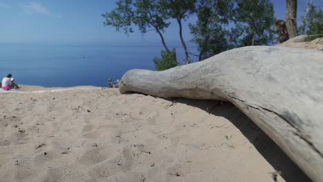 Oso-Durmiente-Dunas-De-Arena-A-Orillas-Del-Lago-Nacional-Vista-Al-Lago-Michigan-En-Michigan-Con-Un-Primer-Plano-De-Deadwood-Y-Un-Video-De-Cardán-Caminando-Hacia-Adelante