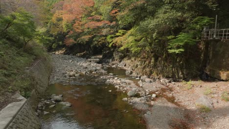 Water-canal-landscape-in-Japanese-autumn-forest,-clean-zen-meditative-water-in-stone-valley-at-sunset,-aerial-drone-fly-low-view