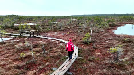 Seguimiento-Aéreo-De-Una-Mujer-Vestida-De-Rojo-Caminando-Sobre-Un-Puente-De-Madera-En-Un-Bosque