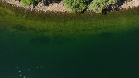 Overhead-drone-shot-of-Spirit-Lake's-shoreline-at-midday