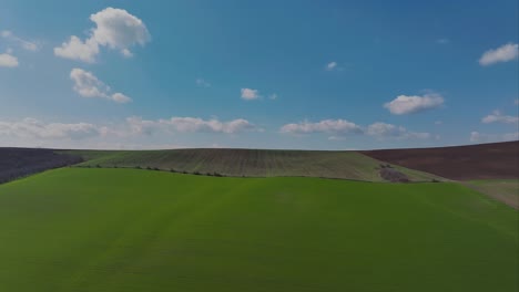 Toma-Aérea-Vibrantes-Campos-Agrícolas-Verdes-Cielo-Azul-En-El-Horizonte,-En-El-Campo-En-Un-Día-Soleado-De-Primavera