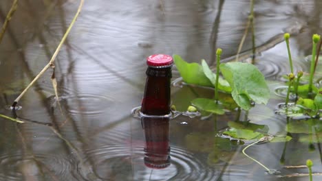 Bottle-floating-in-pond.-England.-UK