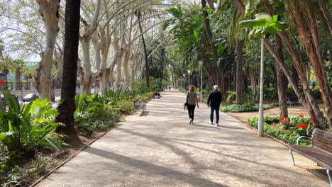 Menschen,-Die-In-Einem-Wunderschönen-Grünen-Naturpark-Mit-Pflanzen-Und-Palmen-Im-Historischen-Stadtzentrum-Von-Malaga,-Spanien,-Spazieren-Gehen,-Beliebtes-Sonniges-Urlaubsziel,-4K-Aufnahme