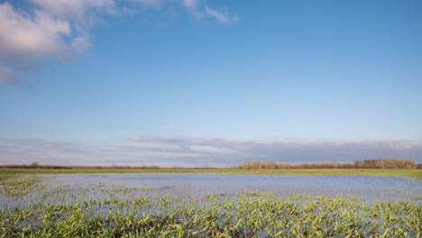 Paisaje-Rural-Después-De-La-Lluvia-De-Verano