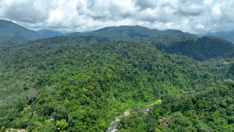 Selvas-Tropicales-De-Indonesia,-Hábitats-Biodiversos-Y-Ecológicos.