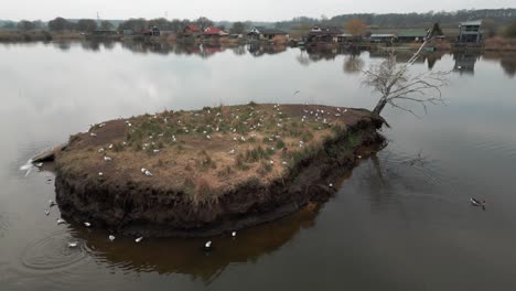 Vista-Aérea-De-La-Pequeña-Isla-Gaviota-En-El-Lago-Adamov-Eslovaquia