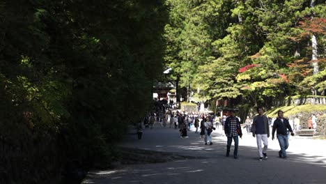 Visitors-journey-along-the-pathway-to-the-entrance-of-Nikko-Tosho-gu-in-Japan,-surrounded-by-lush-trees-and-bathed-in-sunlight,-epitomizing-the-spirit-of-travel-and-exploration