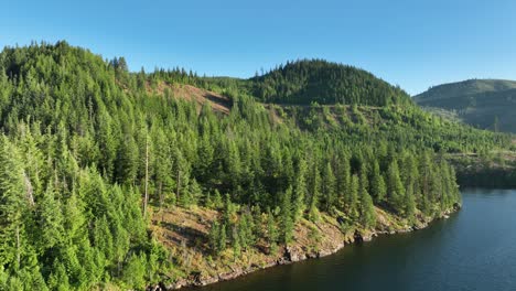 Drohnenaufnahme-Des-Ufers-Des-Spirit-Lake-Voller-Immergrüner-Bäume