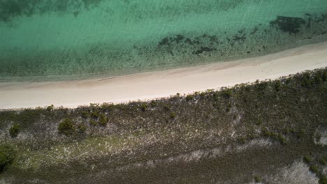 Luftaufnahme-Von-Oben-Auf-Den-Strand-Von-Los-Roques-Mit-Kristallklarem-Wasser-Und-Grünem-Laub
