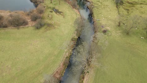 Stream-emptying-into-lake-surrounded-by-green-nature,-aerial-drone-view