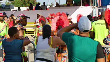 Rückansicht-Von-Familien,-Die-Mittags-Die-Karnevalsfeierlichkeiten-Und-Die-Parade-Genießen