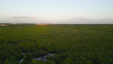 Selva-Verde-De-Tulum-Filmada-Desde-Arriba-Con-Un-Dron,-Joyas-Escondidas-De-La-Naturaleza