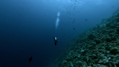 Solo-Taucher-Erkundet-Riff-Im-Tiefen-Blau,-Weite-Folgeaufnahme