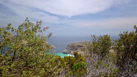 Panoramic-landscape-of-Cape-Point-Nature-Reserve-South-African-Sea-coasline-static-shot-of-trees-moving-with-the-wind-in-african-Beach-cliff