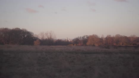 A-landscape-of-London-from-the-top-of-a-hill-on-a-bright-cold-winter-afternoon-in-Richmond-Park,-United-Kingdom