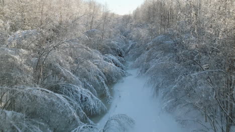 Flying-fast-in-snowy-weather-past-hanging-tree-branches-and-frozen-winter-creek-in-the-forest