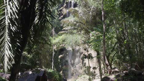 Pintoresco-Paisaje-De-Selva-Tropical-Con-La-Cascada-Tumalog-En-Cebú,-Filipinas