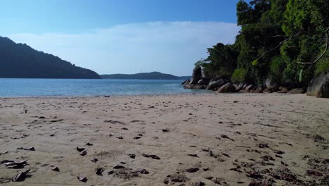 Paraíso-Tropical,-Aislada,-Serena-Playa-De-Arena-Junto-A-Un-Frondoso-Bosque,-Aguas-Cristalinas-Y-Azules.