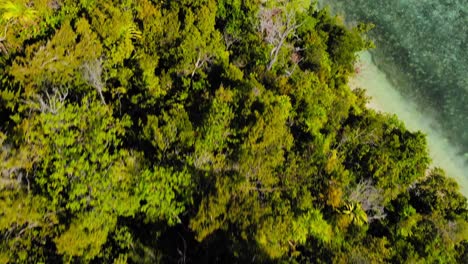 Fliegen-über-Waldbäumen,-Die-Privatunterkünfte-Und-Den-Pier-Auf-Der-Insel-Kri-In-Raja-Ampat,-Indonesien-Offenbaren