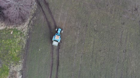 Aerial-top-down-view,-farmer-with-tractor-disperse-solid-mineral-on-wheat-field