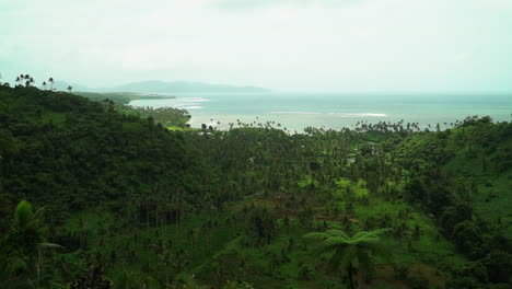 Tavarua-Falls-Wasserfall-Strand-Spaziergang-Dschungel-Berg-Taveuni-Garten-Insel-Korallen-Küste-Riff-Bruch-Sand-Tropisch-Friedlich-Wellen-Krachend-Küstenlinie-Palme-Kokosnussbäume-Regnerisch-Sonnig-Bewölkt-Statische-Aufnahme-