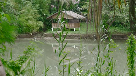 Vista-Panorámica-Del-Paisaje-Con-Casa-De-Madera-En-El-Río-Loboc,-Filipinas