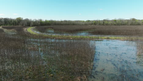 Woodland-And-Wetlands-At-Bell-Slough-Wildlife-Management-Area-Near-Mayflower-In-Arkansas