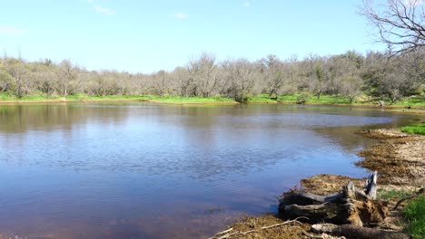 Static-video-of-a-scenic-landscape-of-a-pond-with-calm-water-and-a-log-in-the-foreground