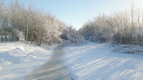 Cámara-Moviéndose-A-Lo-Largo-De-Un-Arroyo-De-Invierno-Congelado-Y-Ramas-De-árboles-Colgantes