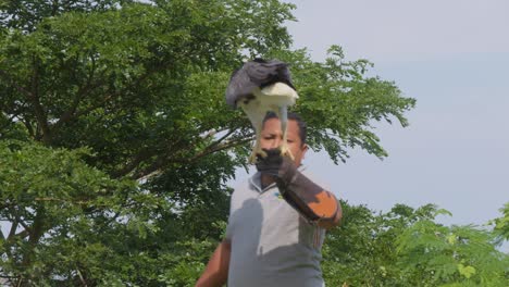 Adlertrainer-Im-Zoo-Von-Bali-Hält-Einen-Weißbauch-Seeadler