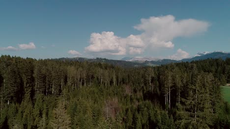 Aerial-of-Lakes,-Forests-and-Mountains-in-rural-Switzerland