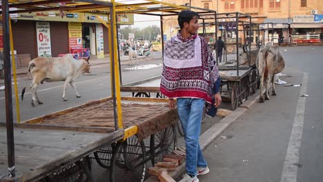 Young-man-prepares-his-vegetable-cart-to-sell-vegetables-in-the-morning