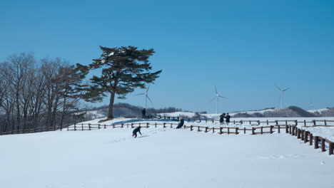 Eine-Gruppe-Von-Menschen-Auf-Der-Daegwallyeong-Sky-Ranch-Genießt-Im-Winter-Die-Schneebedeckte-Aussicht-An-Einem-Frostigen,-Sonnigen-Tag-In-Südkorea