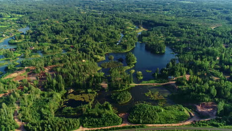 Lake-Island-covered-in-forest-with-resort-buildings,-aerial-drone-view