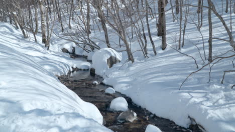 Arroyo-De-Montaña-Fluyendo-A-Través-Del-Bosque-Cubierto-De-Nieve-En-Invierno