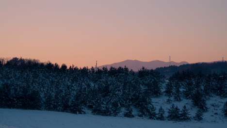 Pastel-Pink-Sky-Sunset-Over-Snow-Capped-Forest-at-Alpensia-Ski-Resort,-South-Korea,-,-panning-shot