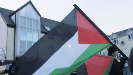 La-Bandera-De-Palestina-Ondea-En-El-Viento.